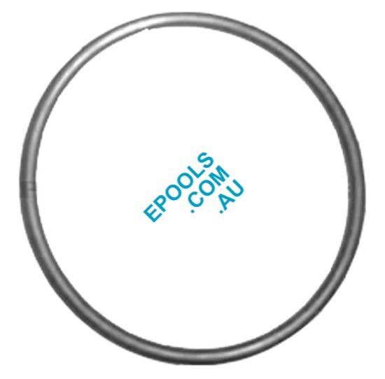 Baracuda Hydra Bunnings Pool Pump Lid ORing Just Pools and Spas
