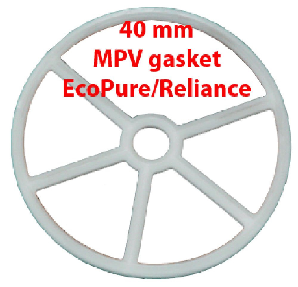 Monarch Davey Stroud EcoPure Reliance 40mm Spider Gasket Just Pools