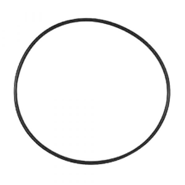 Astral Hurlcon BX Series O’Ring Pump Lid Just Pools and Spas