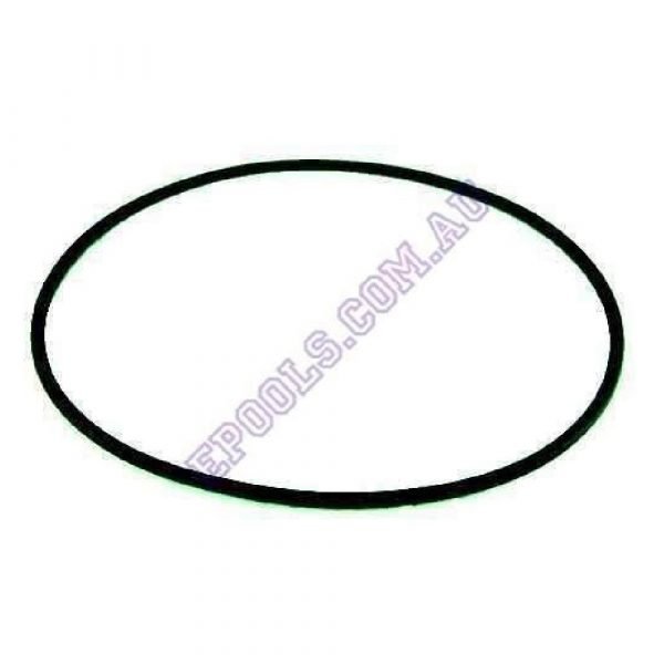 Davey Monarch P4 Clearflow Cartridge Filter Lid ORing Just Pools and