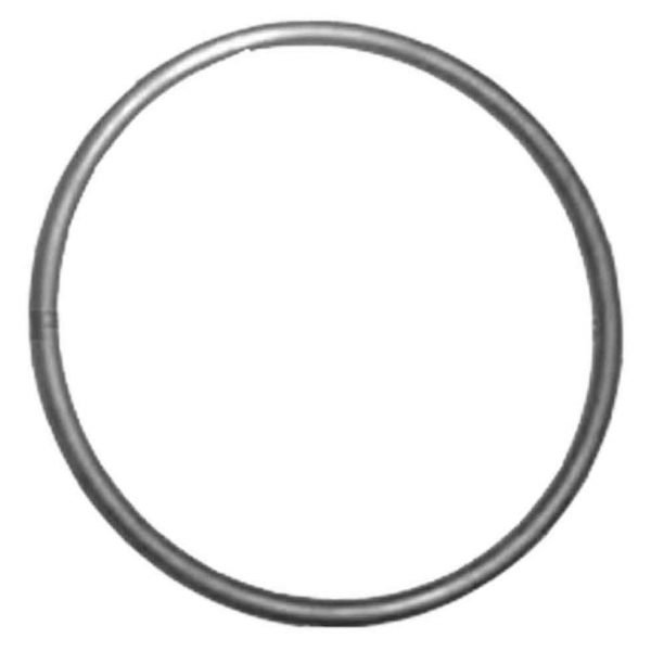 Waterco Pump Lid O-Ring - Turbotuf, Supatuf, Aquaswim 50 - Foto 10