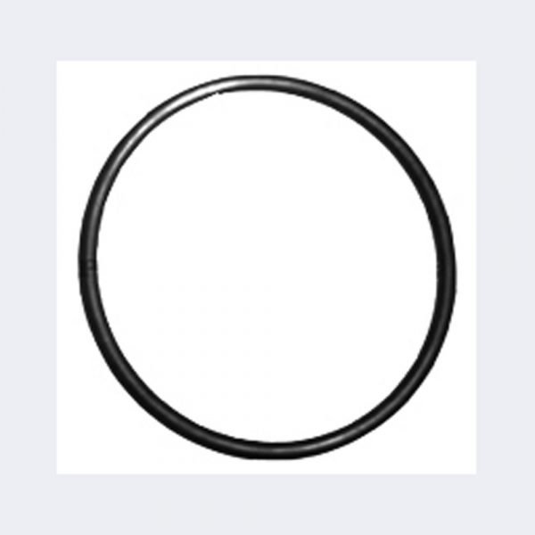 Pool Pro CPP/CPPS Chlorinator Salt Cell Housing O’Ring Just Pools and