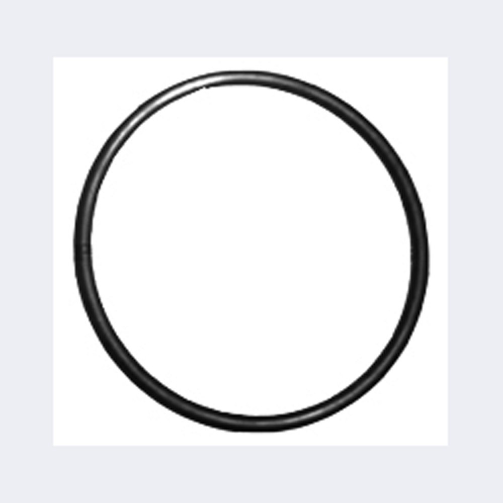 Pool Pro CPP/CPPS Chlorinator Salt Cell Housing O’Ring Just Pools and Spas